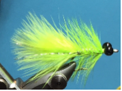 Polar Magnus UV chartreuse